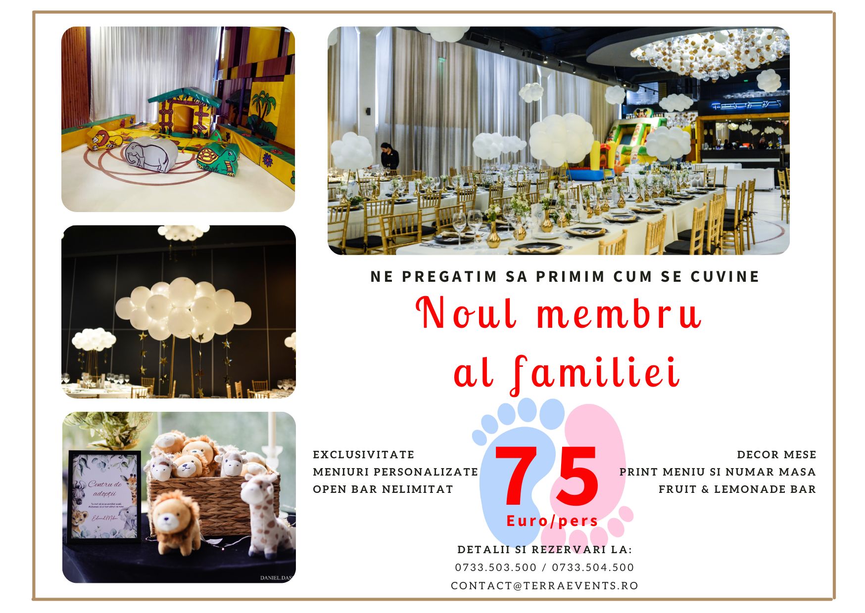 Noul membru al familiei — fotografia 1